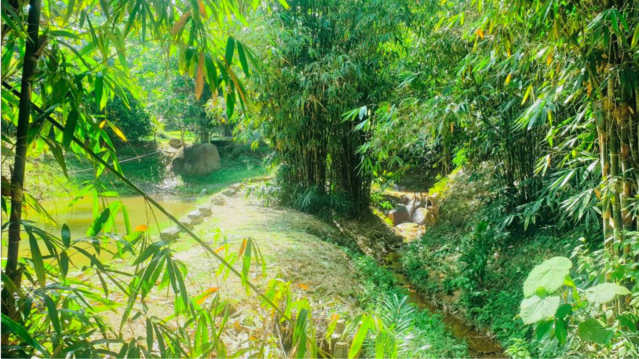 D'Bemban Camp & Eco Resort