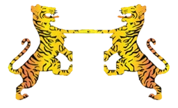 Placeholder Illustration